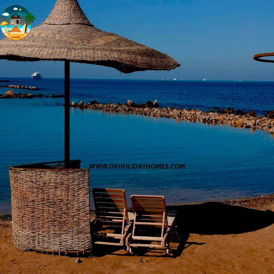 Turtle G4.10 * Hurghada