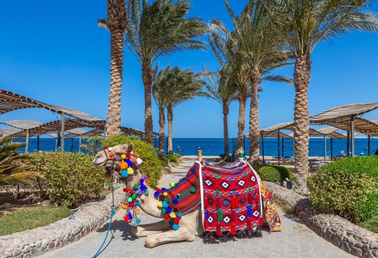 Station touristique King Tut Aqua Park Hurghada