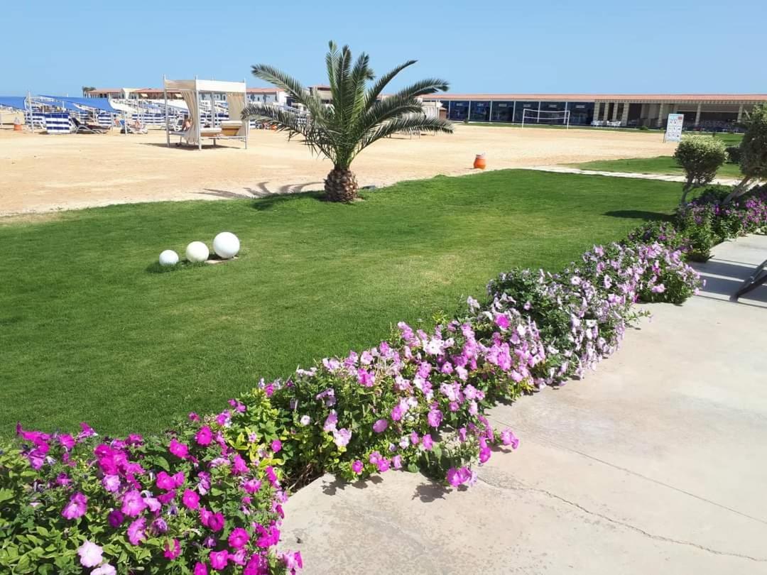 Apartments For Rent Samra Bay Hotel - Аренда Квартир В Отеле Samra Bay * Hurghada