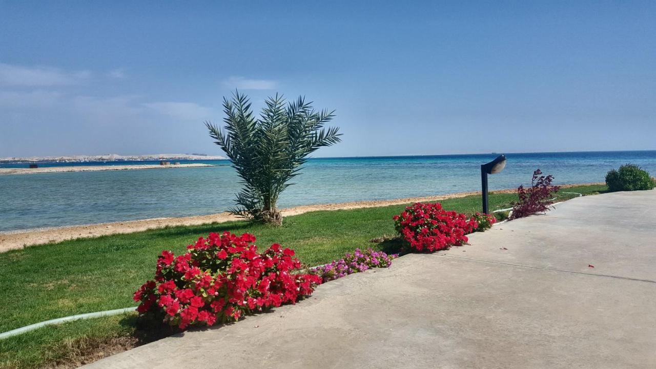 Apartments For Rent Samra Bay Hotel - Аренда Квартир В Отеле Samra Bay Hurghada