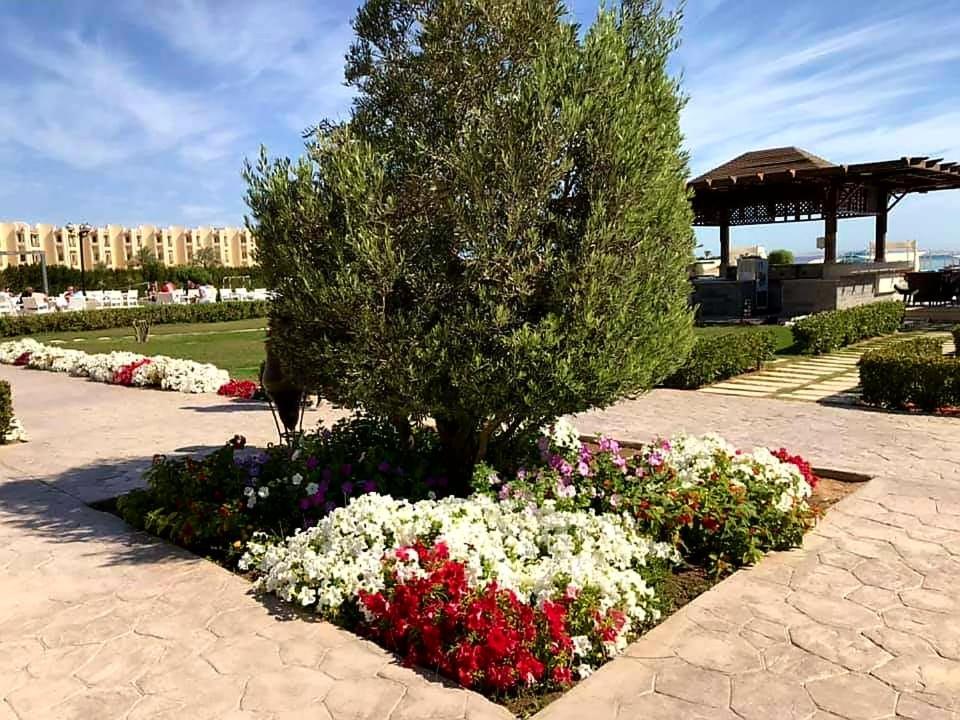 Apartment Apartments For Rent Samra Bay Hotel - Аренда Квартир В Отеле Samra Bay *