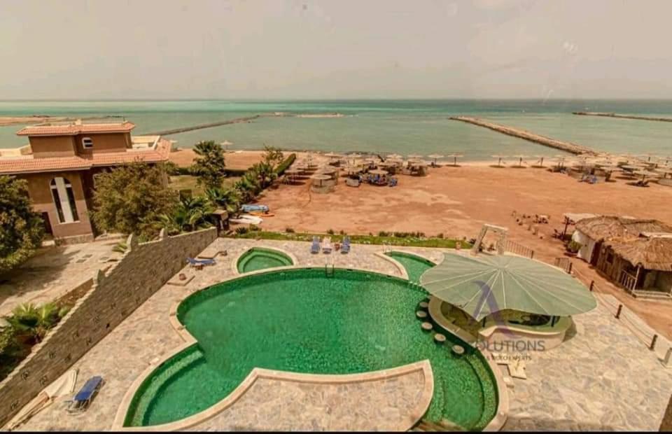 Turtles C21 * Hurghada