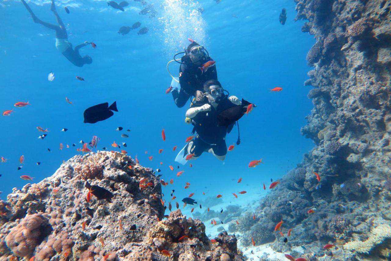 Jasmine Palace Station touristique Hurghada