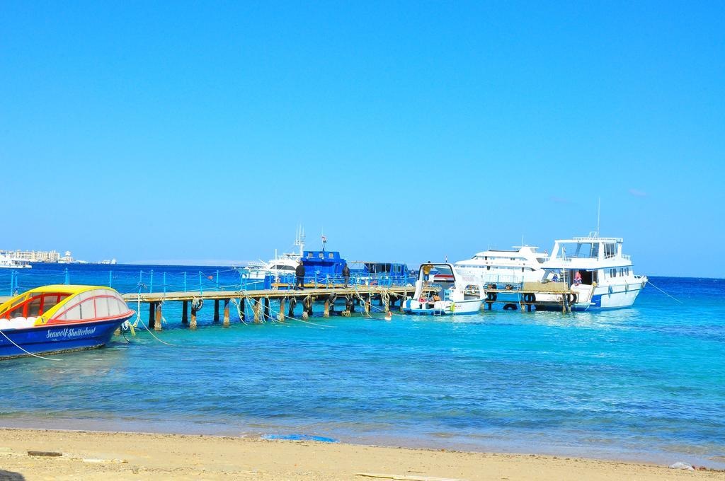 Alia Hurghada