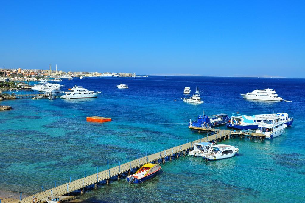 Alia Hurghada