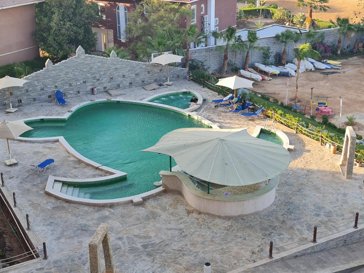 Turtles C21 Hurghada