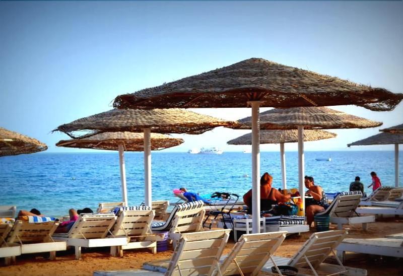 Elaria 3* Hurghada