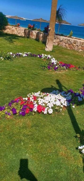 Apartment Esplanada Beach Hurghada