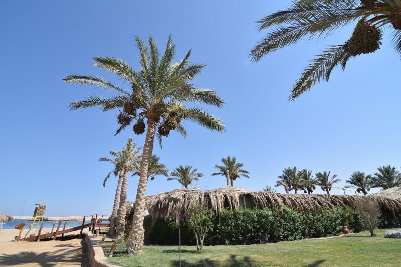 Sharm El Naga And Diving Center Hurghada