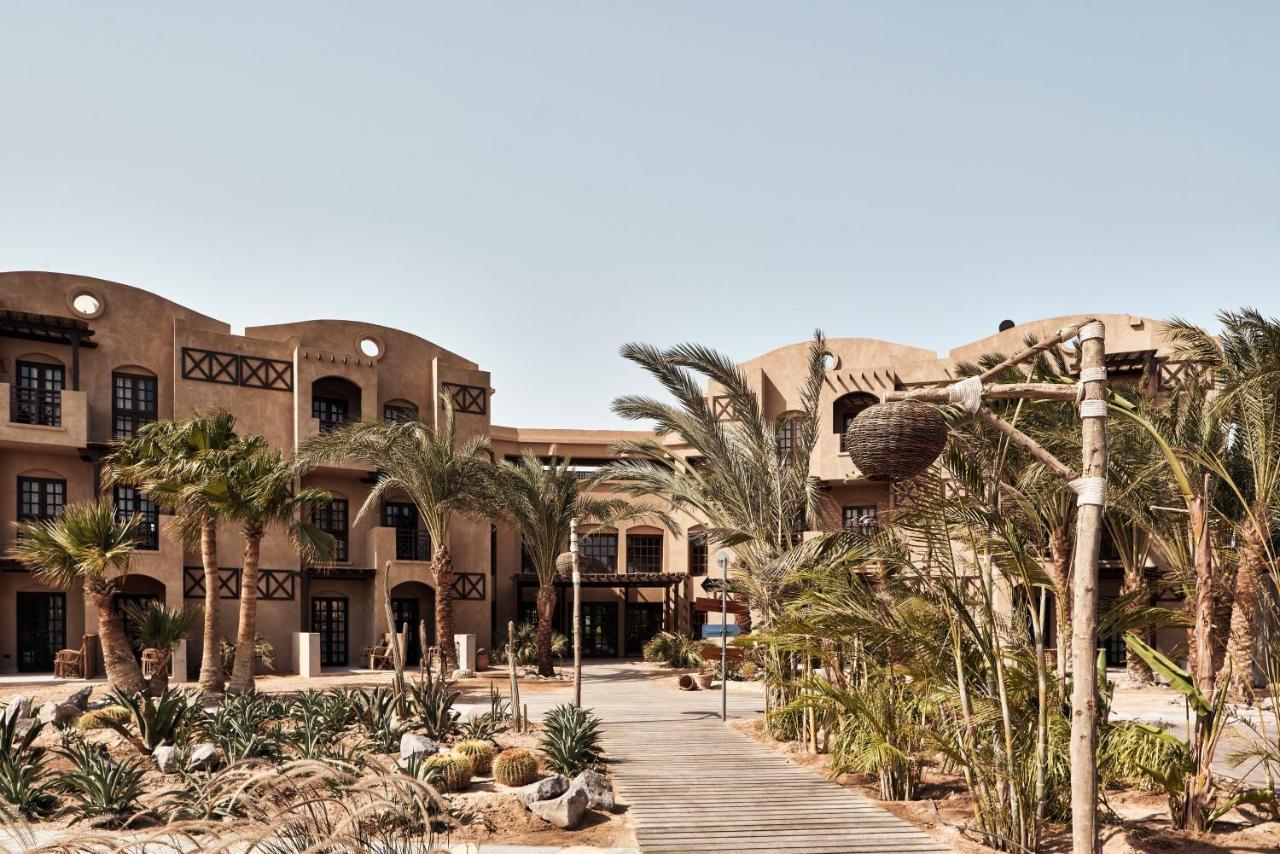Resort Cook's Club El Gouna (adults Only) 4*