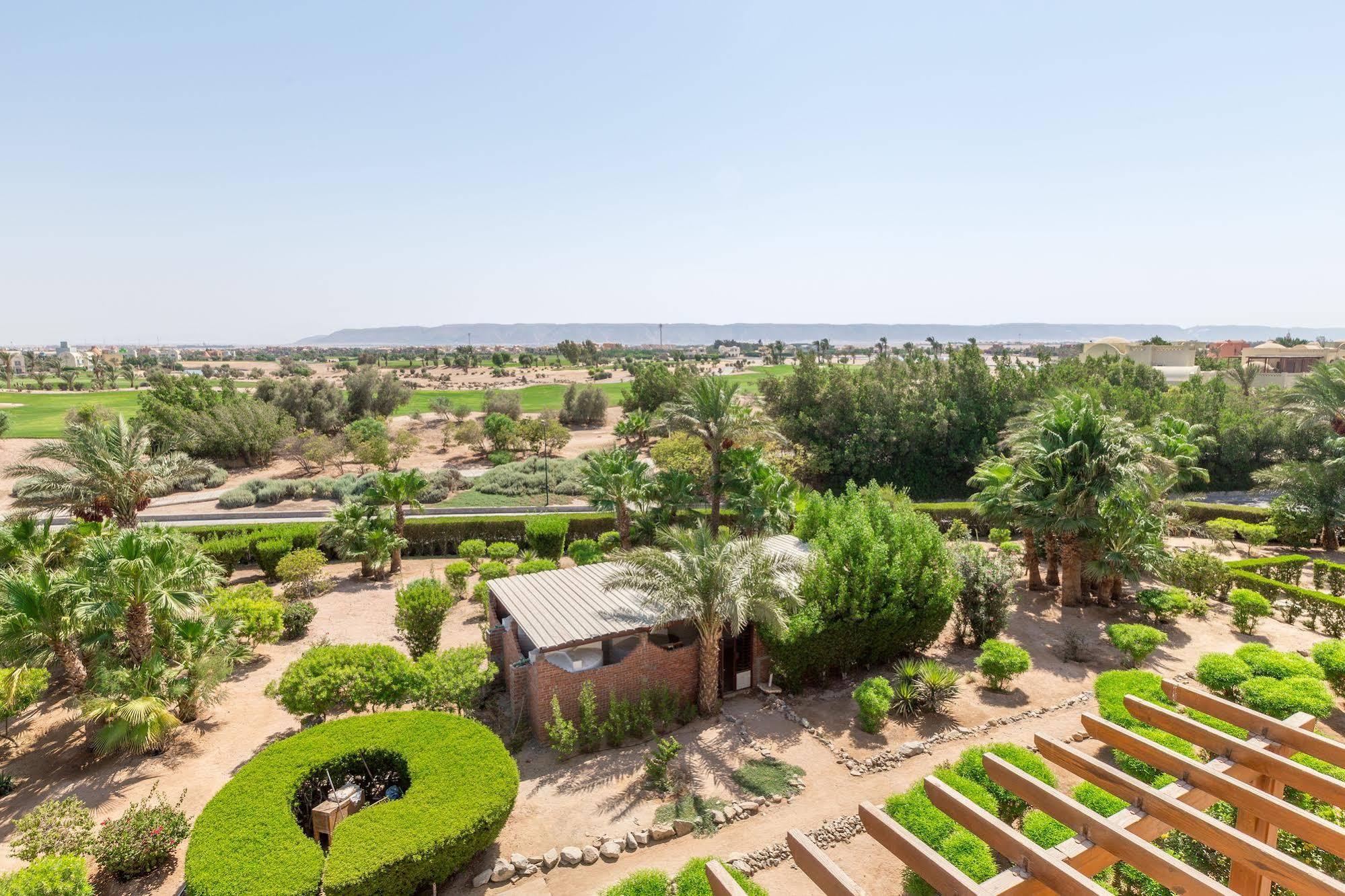 Cook's Club El Gouna (adults Only)