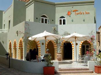 Turtle's Station touristique Hurghada
