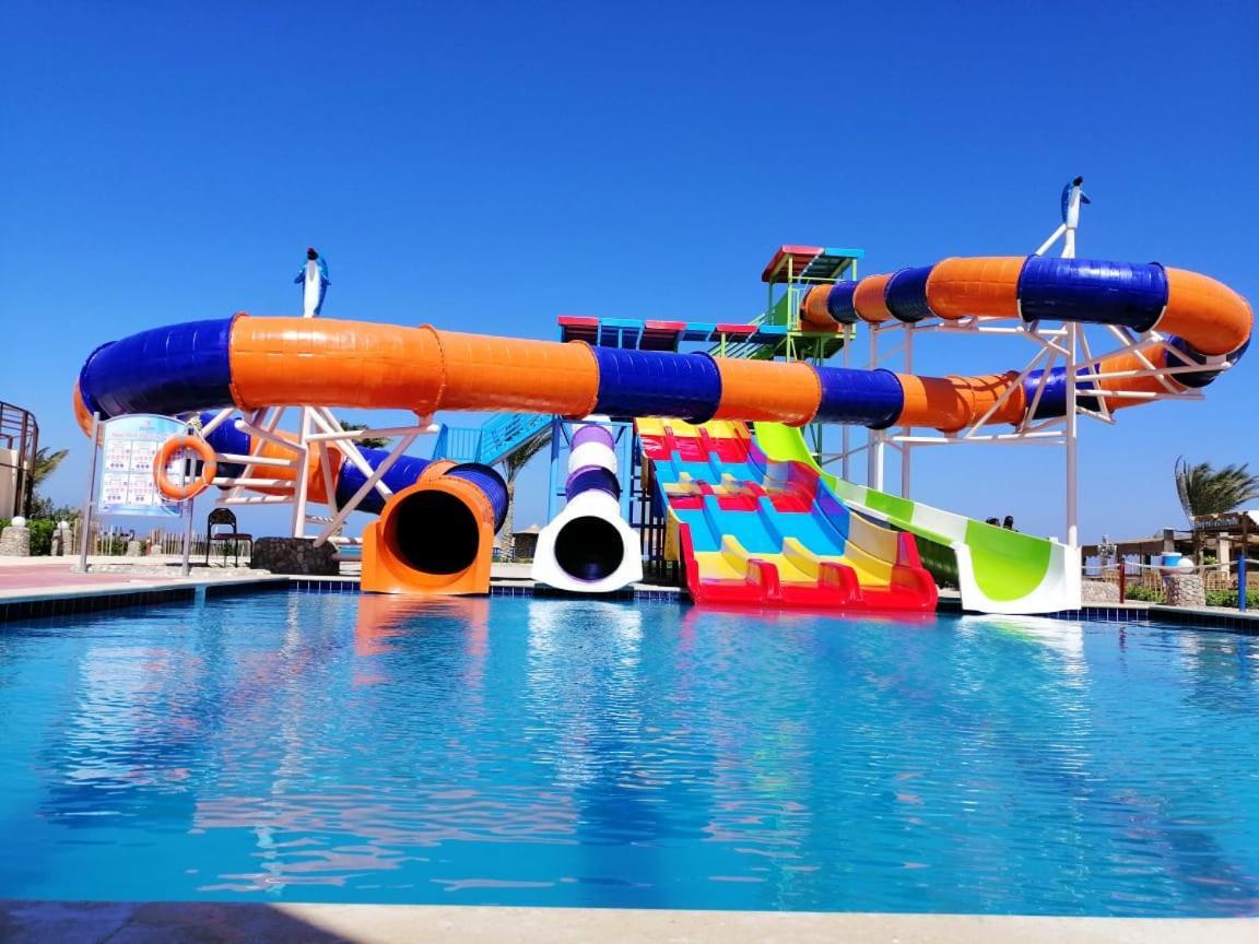 Bella Rose Nefertiti Hurghada
