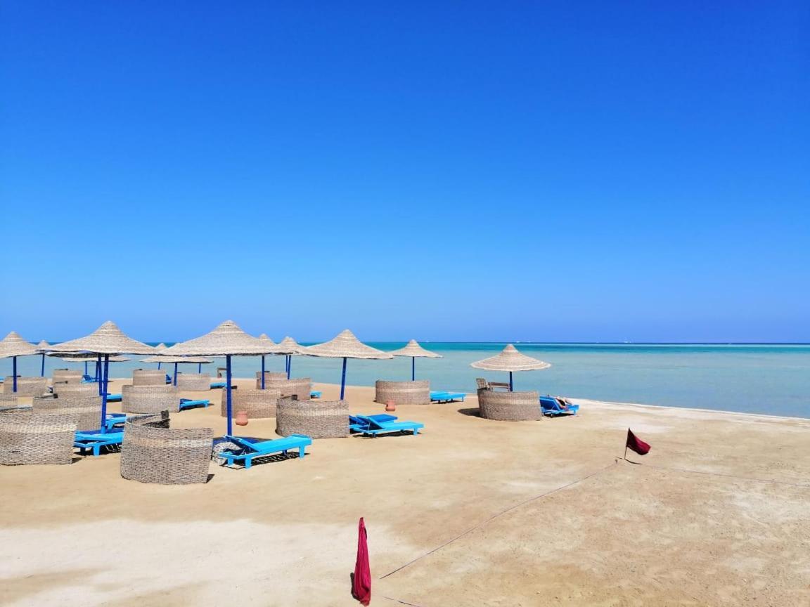 Bella Rose Nefertiti Hurghada