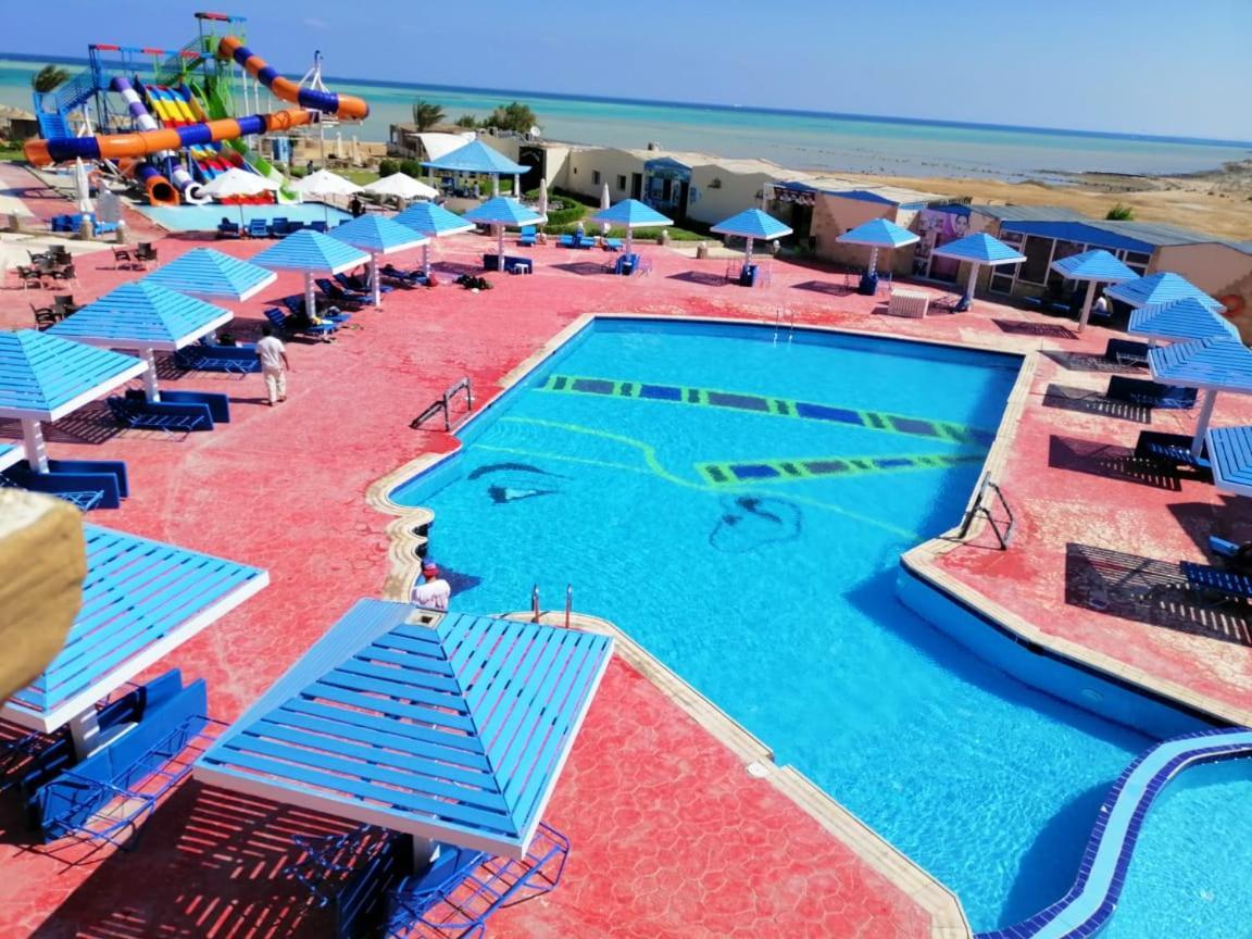Bella Rose Nefertiti Hurghada
