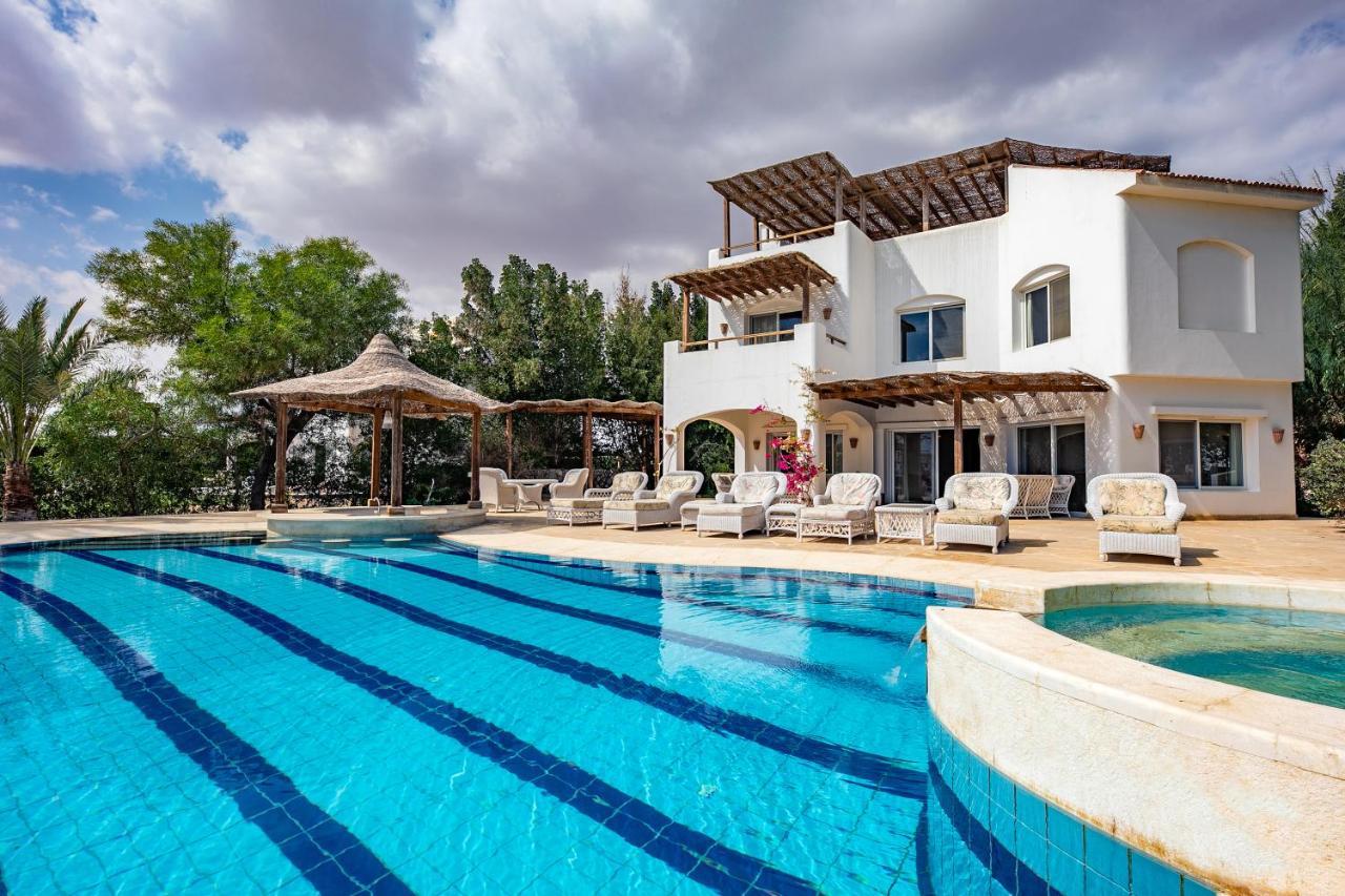 Yasmin El Gouna *