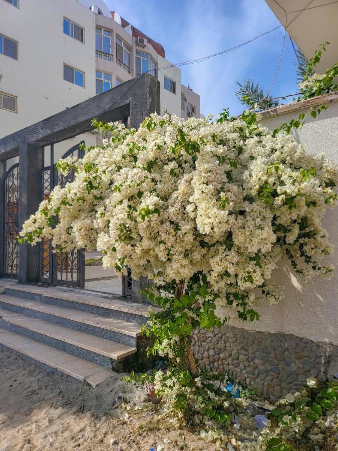 Apartment 1000 And 1 Night Redsealine