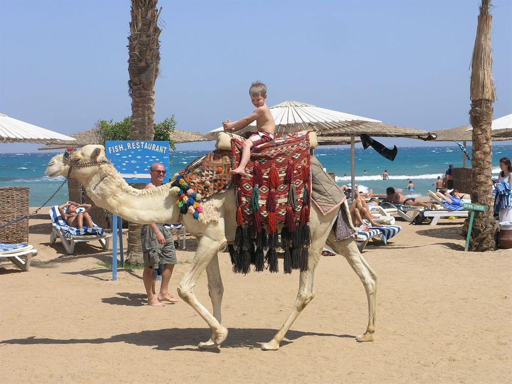 Resort Golden 5 Diamond & Hurghada