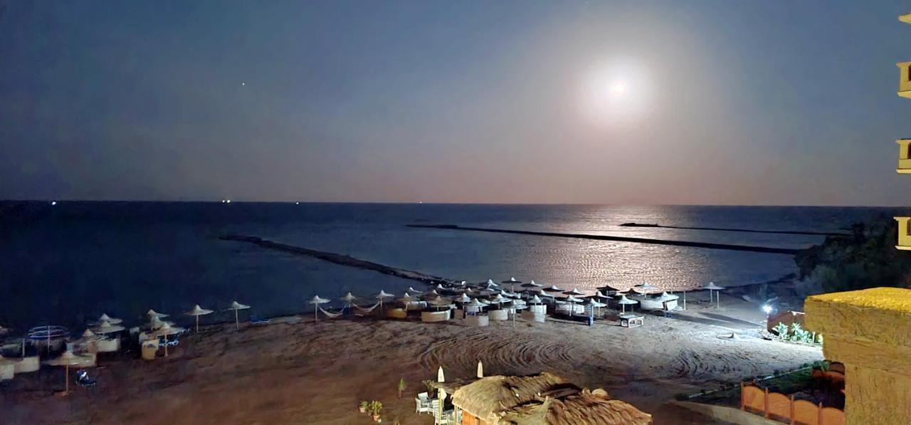 Beachview Turtles * Hurghada