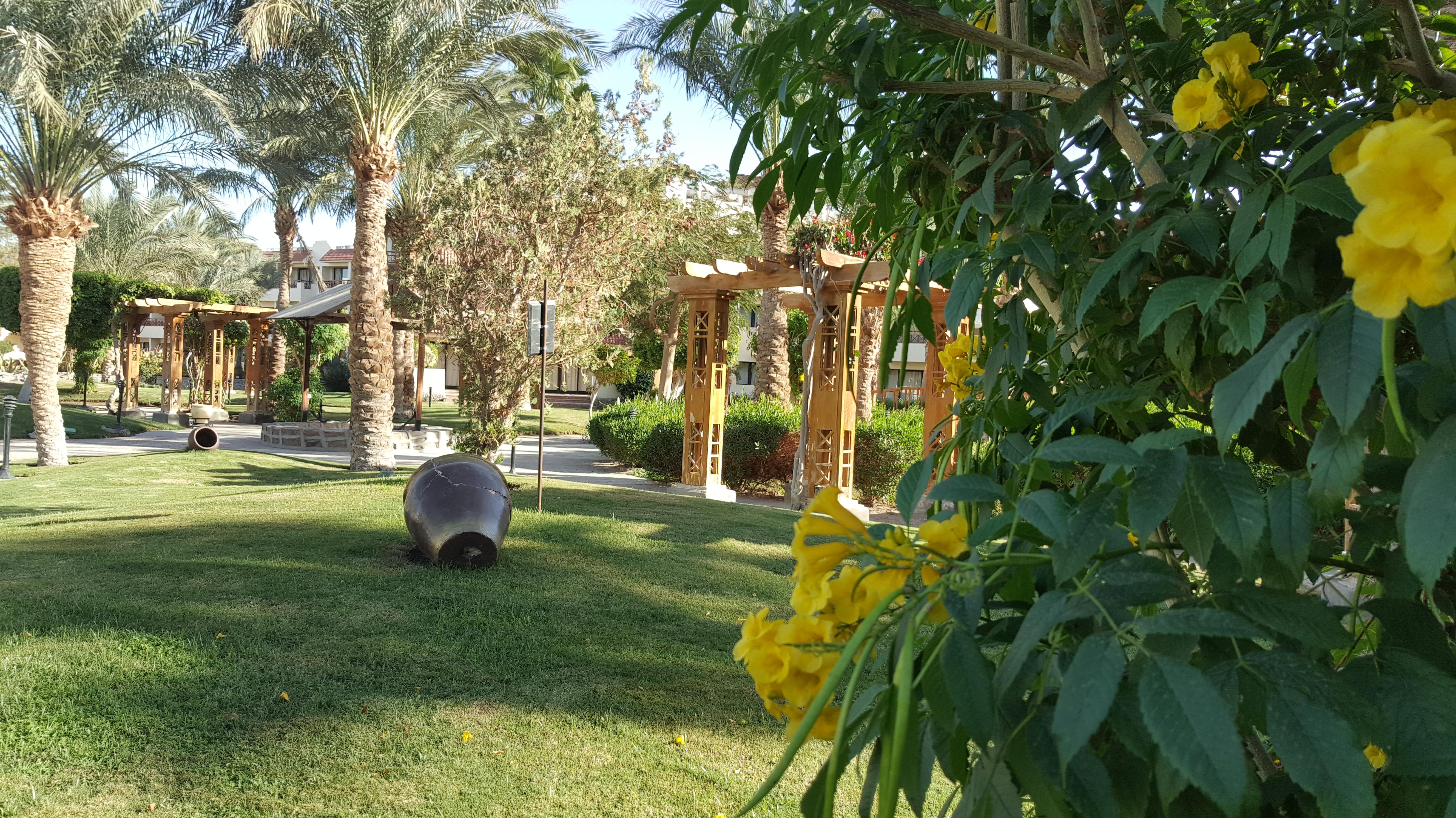 Jaz Elite Casa Del Mar Resort 5*