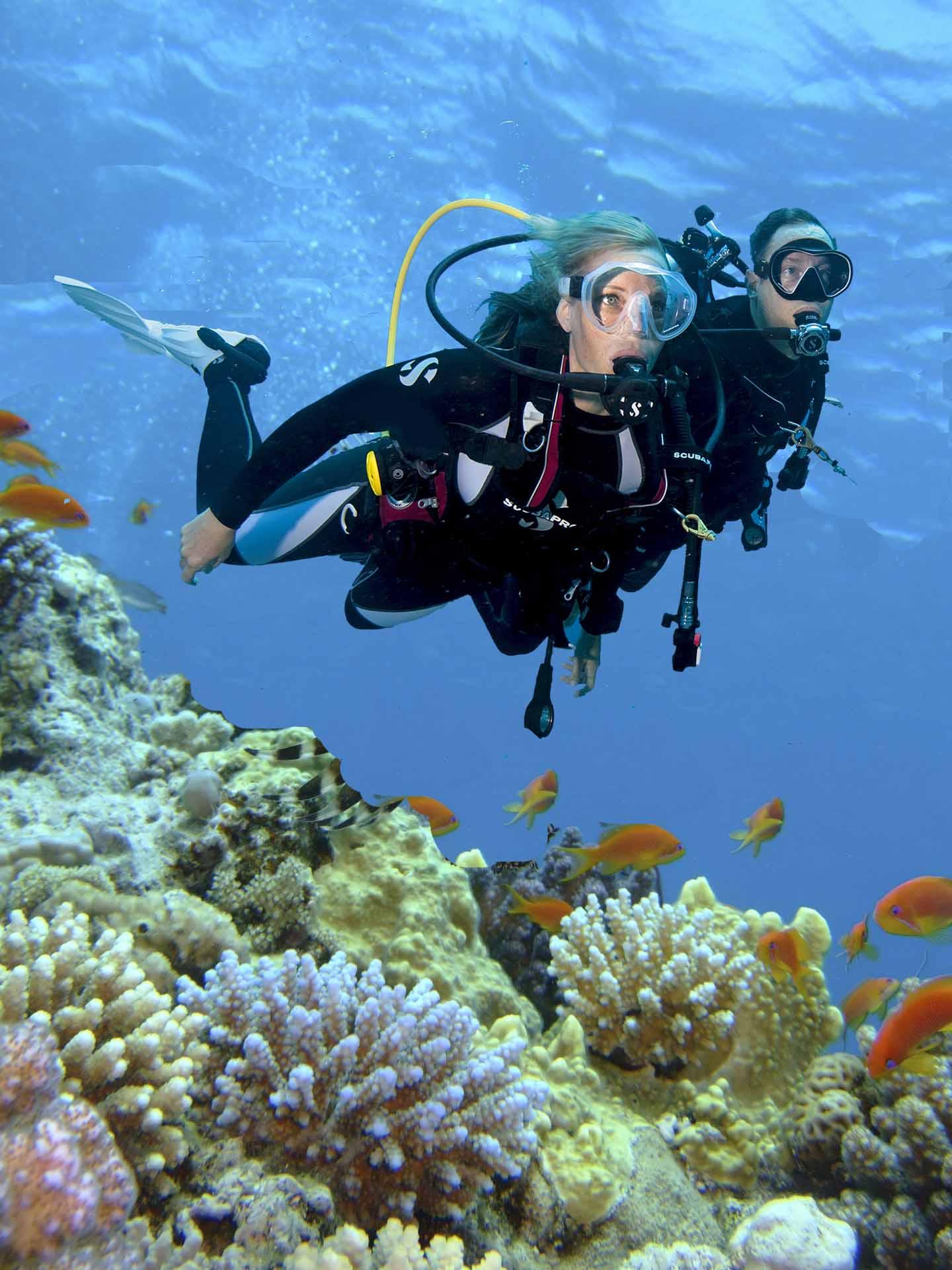 Steigenberger Aqua Magic Red Sea Resort Hurghada