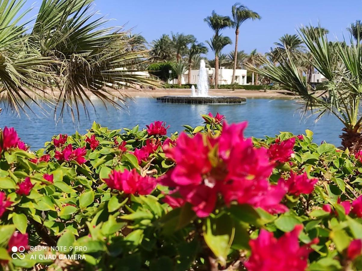 Pharaoh Azur 4* Hurghada
