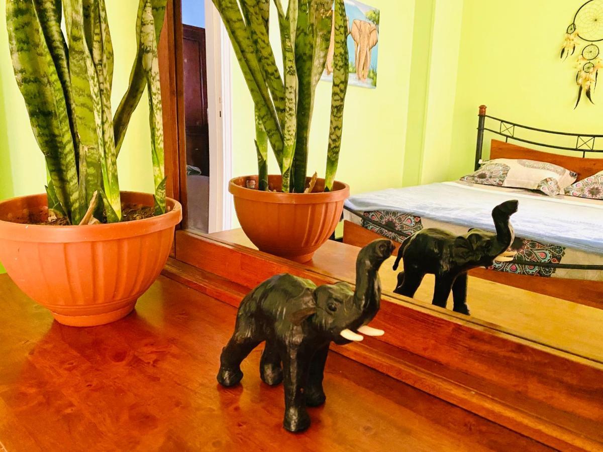 Apartamento Elephant House With Sea View *