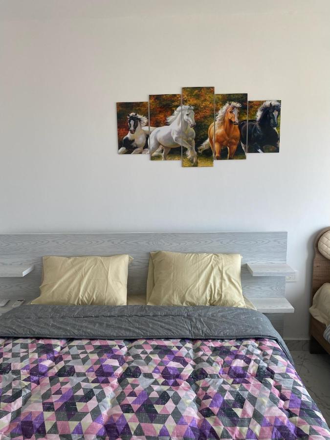 Appartement Blue Whale Front Centre