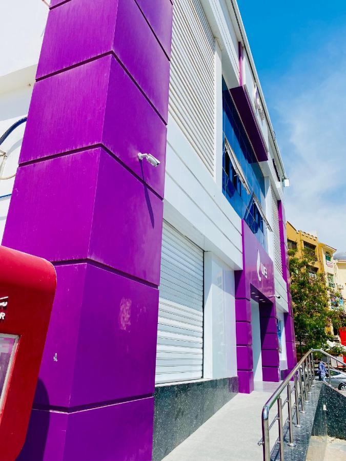 Apartment Desert Pearl Purple *