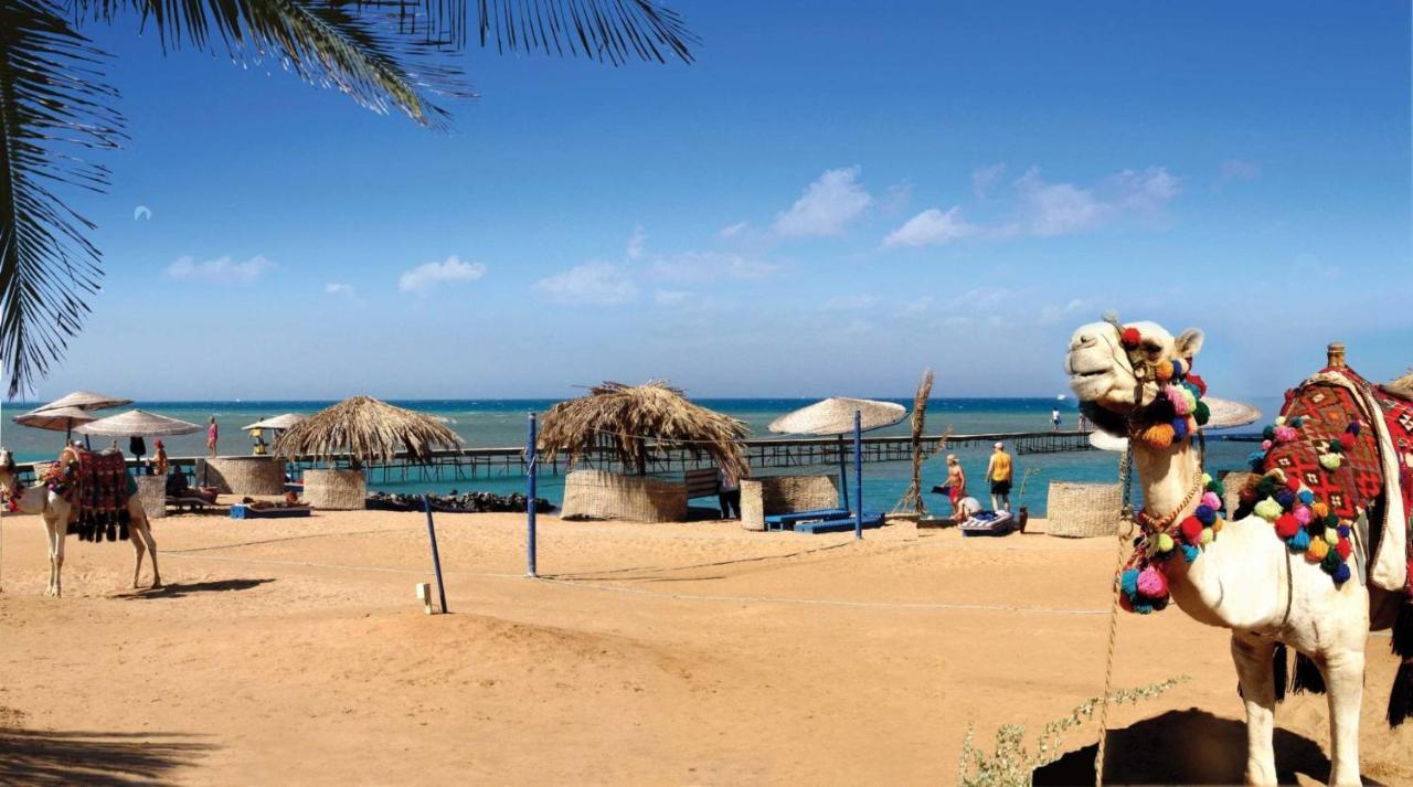 Florenza Khamsin Hurghada