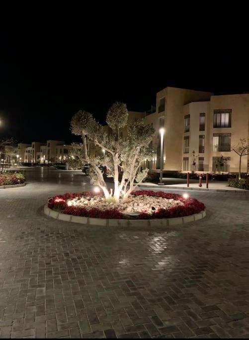 Mangroovy - 1br Ravishing And Mountain View * Hurghada