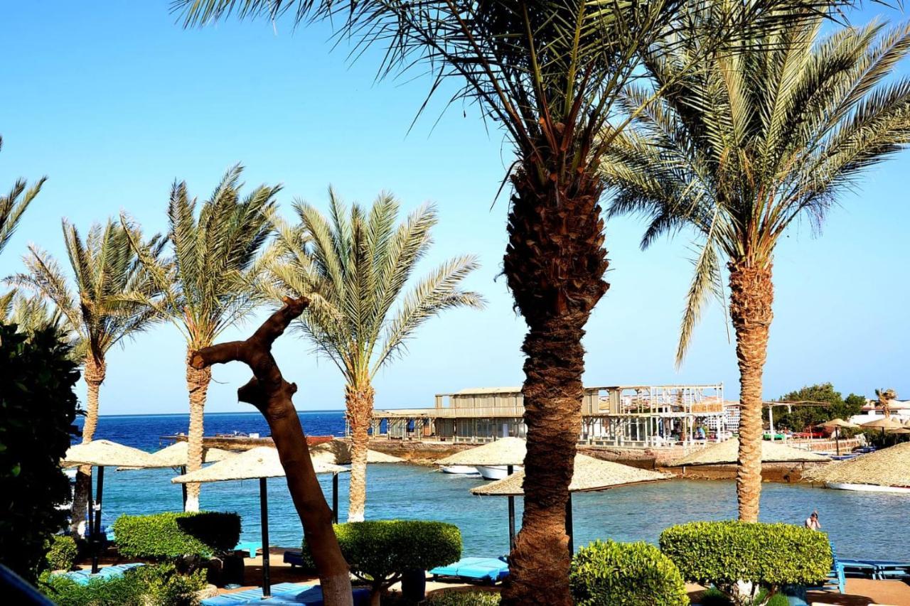 Sand Beach Resort
