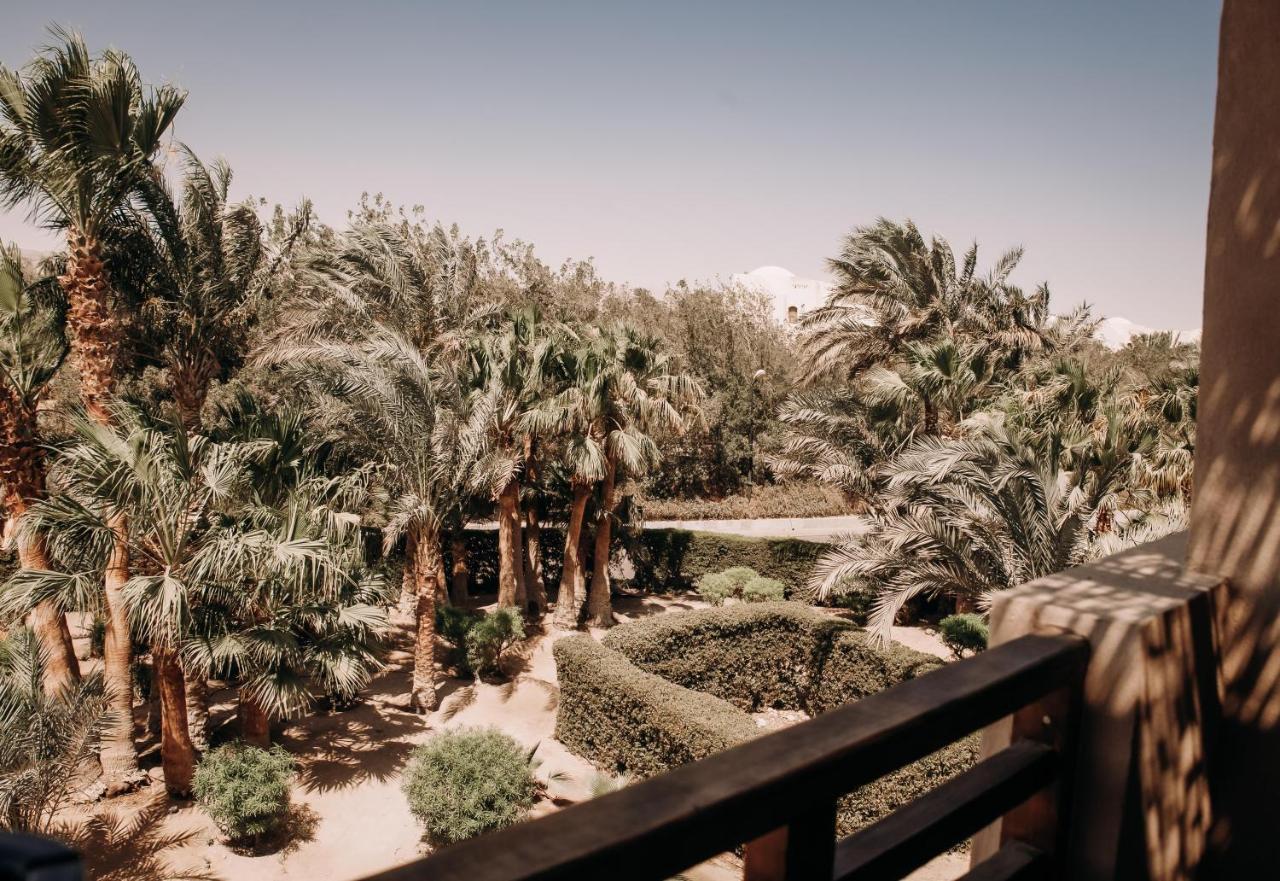 Cook's Club El Gouna (adults Only) Hurghada