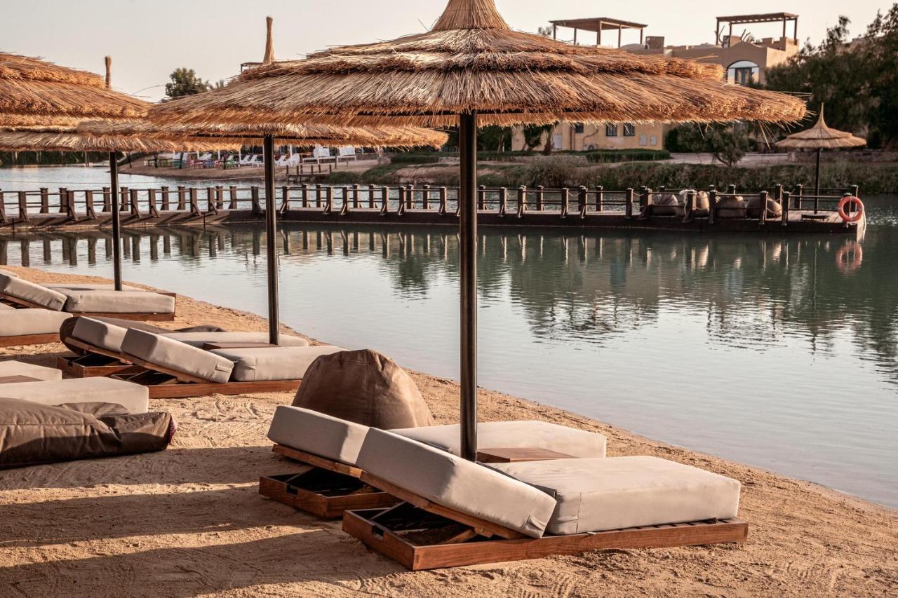 Cook's Club El Gouna (adults Only) Resort