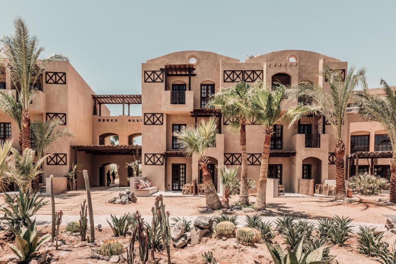 Cook's Club El Gouna (adults Only) 4*