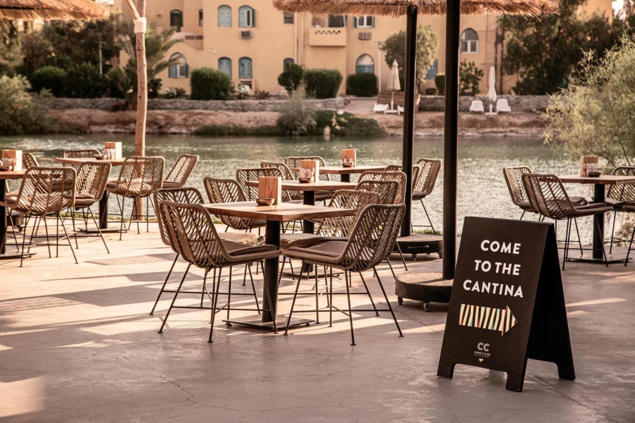 Resort Cook's Club El Gouna (adults Only) Hurghada