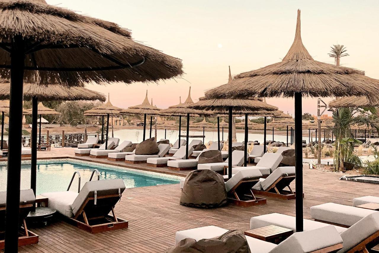 Cook's Club El Gouna (adults Only) 4* Hurghada