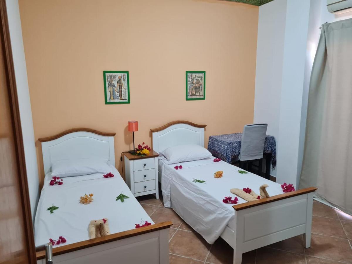 Iris Apartment