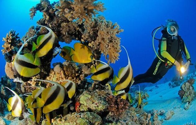 Marena Apartamento Hurghada
