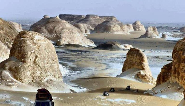 Petra Red Sea Safari *
