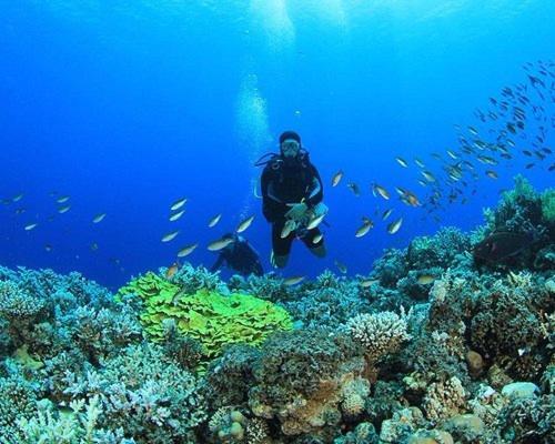 Camping Petra Red Sea Safari Hurghada