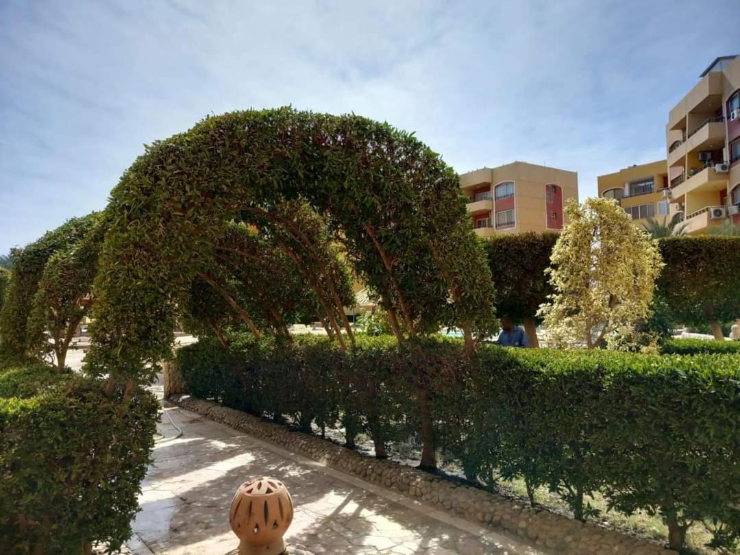 Apartamento Alhambra