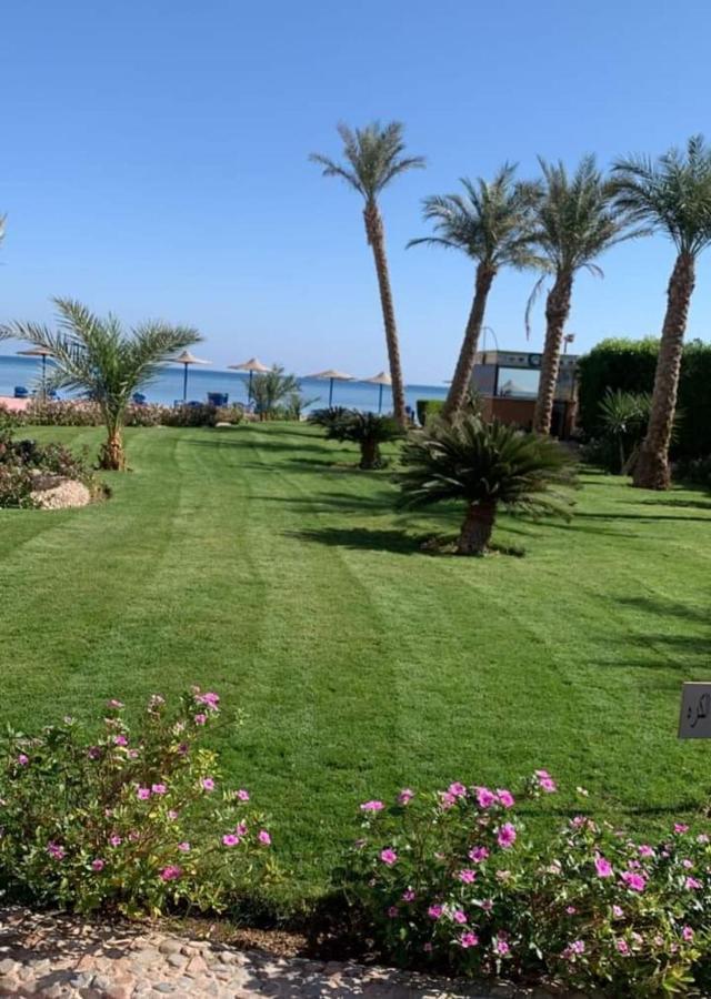 Apartment سيسيليا اتش *
