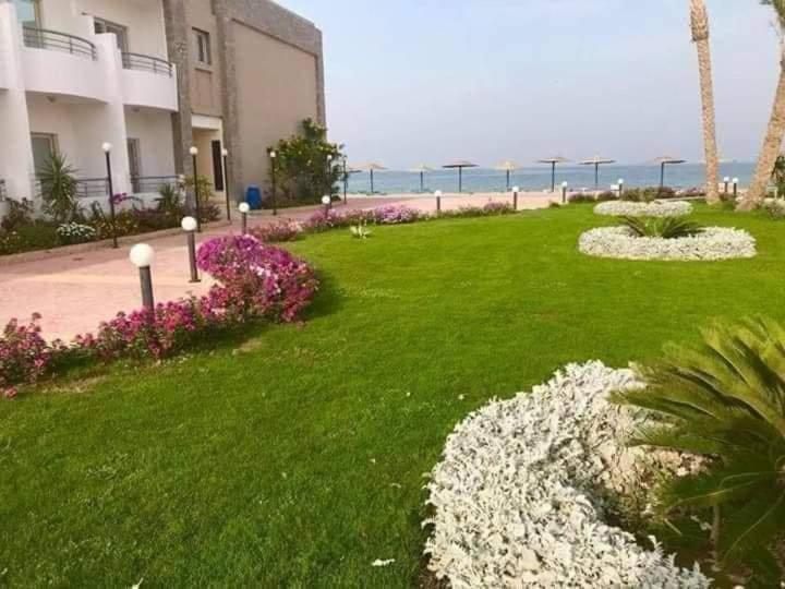 سيسيليا اتش Hurghada