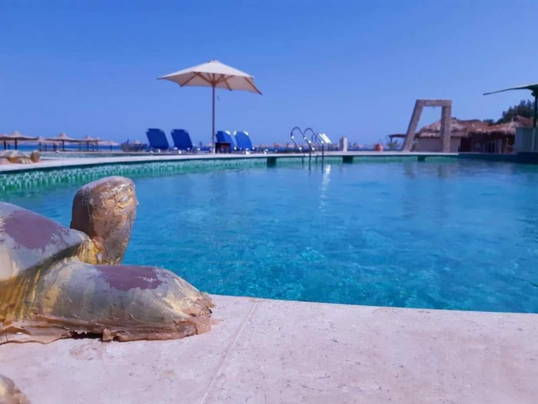 A5 8 At Turtles Ok Homes Appartement Hurghada