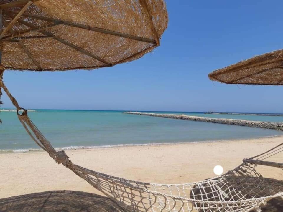 Appartement A5 8 At Turtles Ok Homes Hurghada