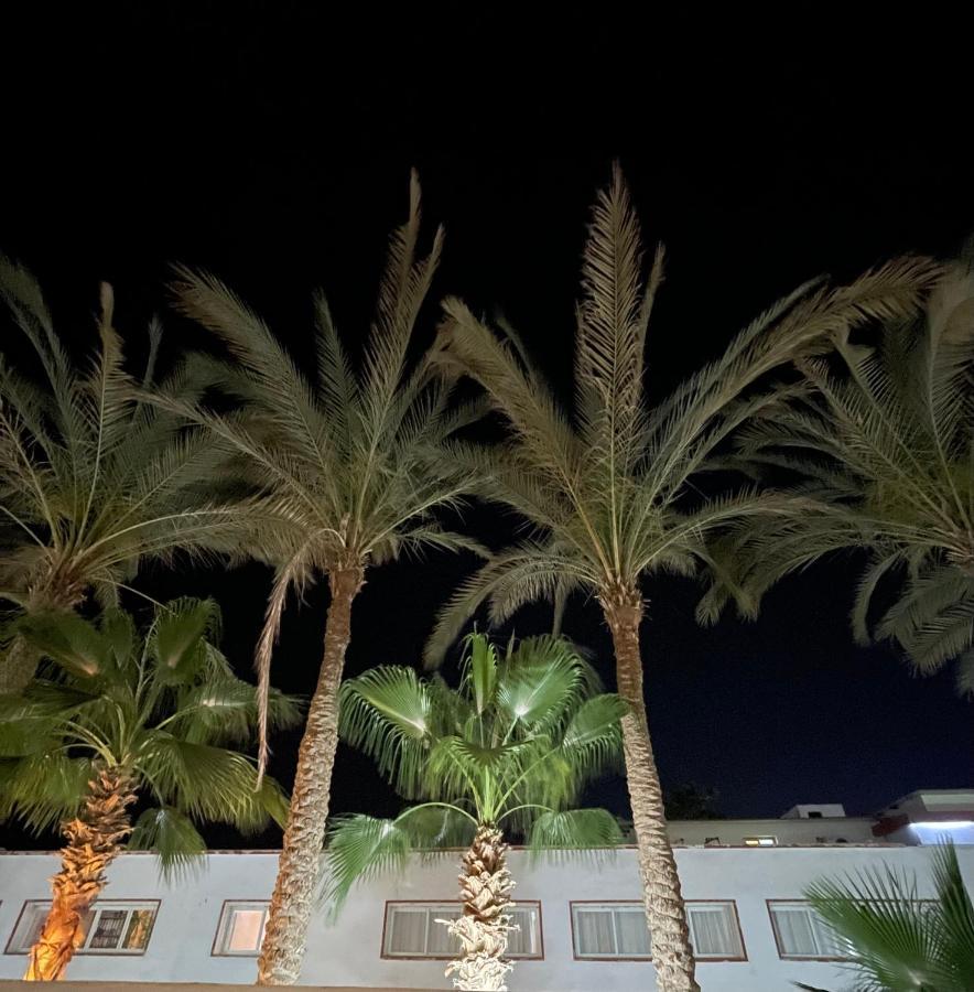 Apartment ساحرة *