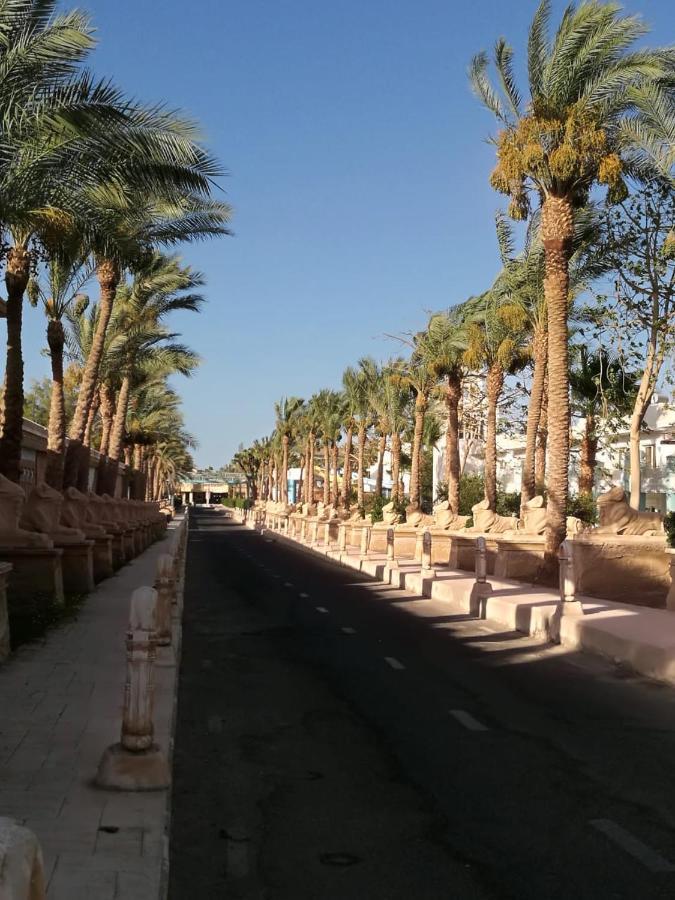 Apartment Mirage & Aqua Park Hurghada