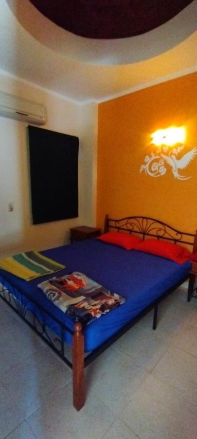 E - 2 Bed Flat In Makadi Heights *