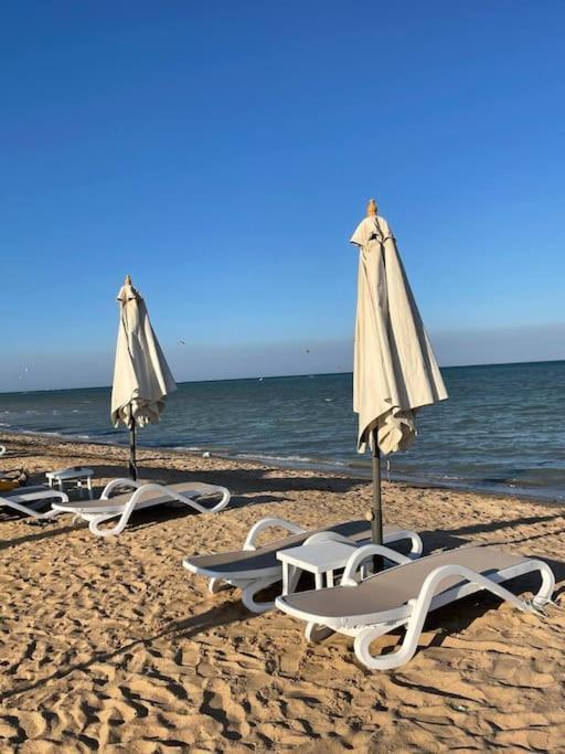 Mangroovy 1br Charming Escape Hilton Pool View Apartment *